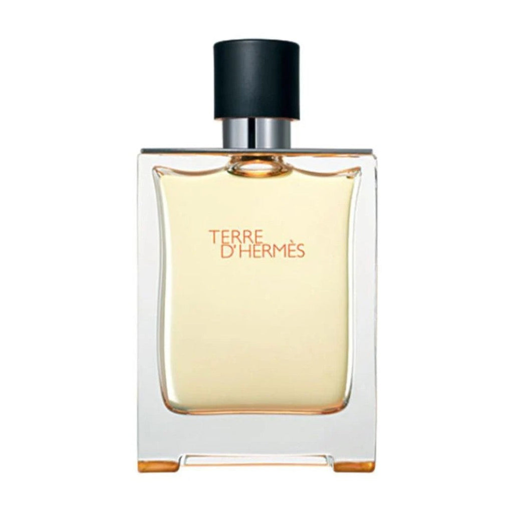 Terre d'Hermès - 100ml